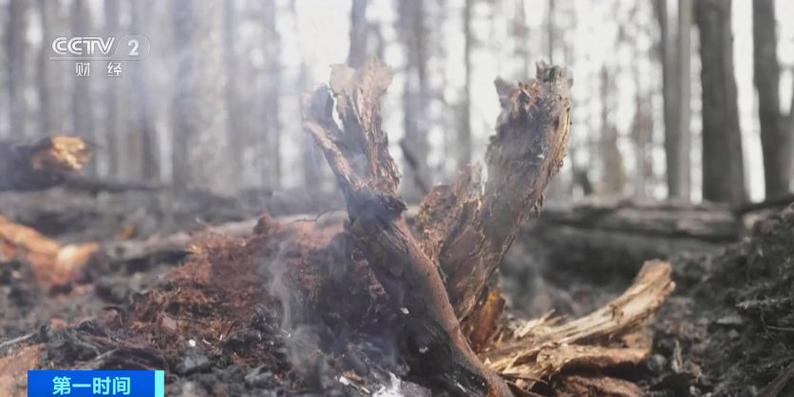 2025新澳门天天开好彩.和加拿大多地野火肆虐与加拿大多地野火肆虐进入紧急状态
