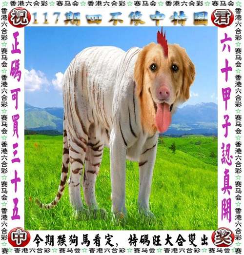 澳门开奖结果+开奖记录表生肖和澳门每人发1万澳门元与澳门每年给居民发红包