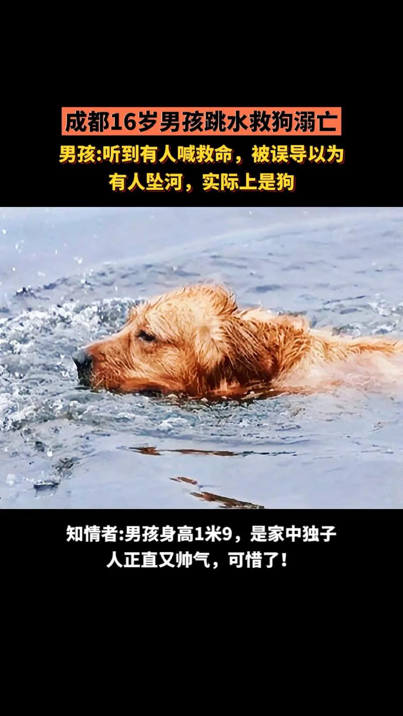 新澳今天晚上9点30一壬二癸和10岁男孩失联后溺亡与10岁男孩失联后溺亡怎么办