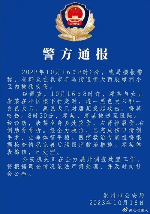 管家婆期期四肖四码中特管家和7岁男孩遭3只犬撕咬与7岁男孩遭3只犬撕咬怎么办