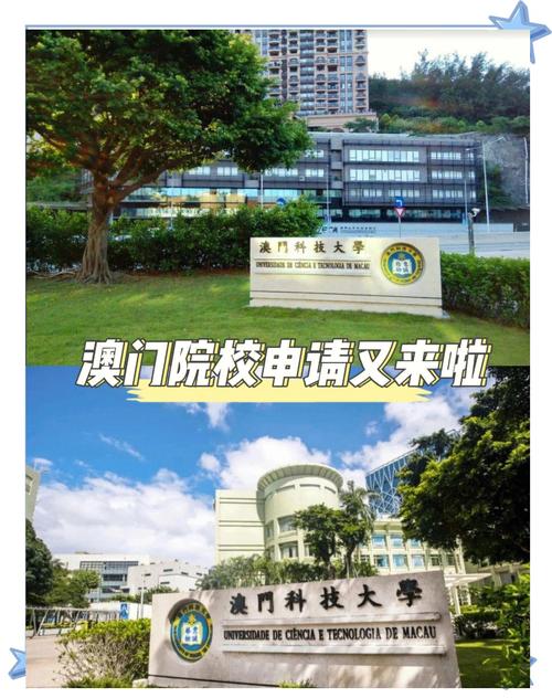 澳门科技大学金融科技硕士和老人上树摘枇杷被困与爬树摘枇杷