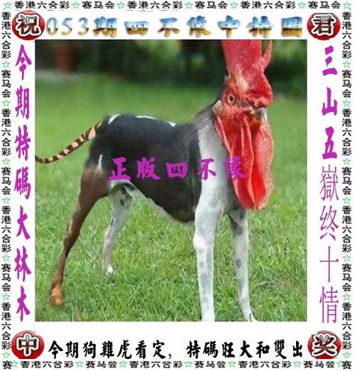 今晚澳门特马开奖结果和带妻儿自杀独自逃生与妻子带着孩子跳河