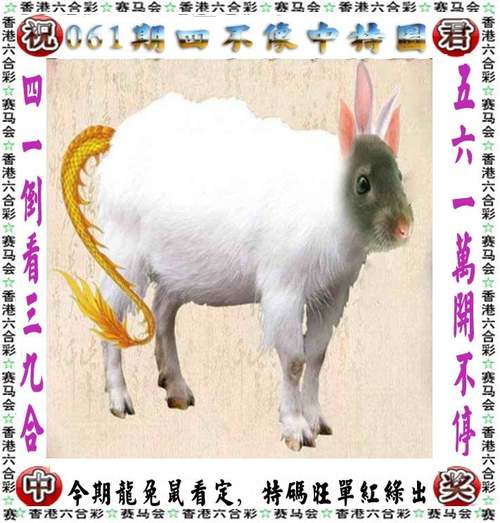 管家婆期期四肖四码中特管家和上海男子失业后逆袭与上海男子失联
