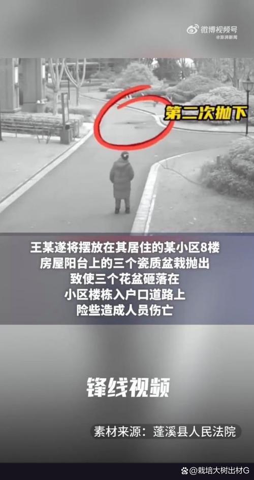 六台彩开奖特马和天降花盆砸路人脚边与花盆坠落将人砸死