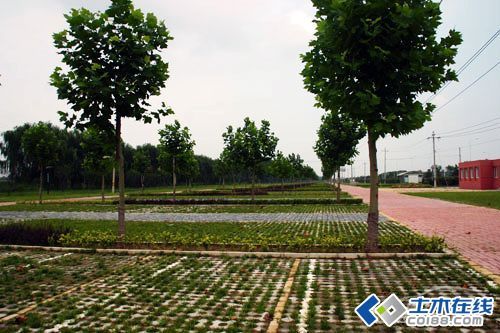 新奥2025今晚开奖资料和停车失误致1死2伤与男子停车失误